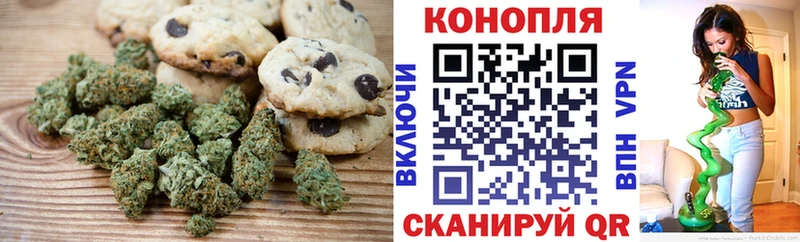 закладка  Суздаль  Cannafood конопля 